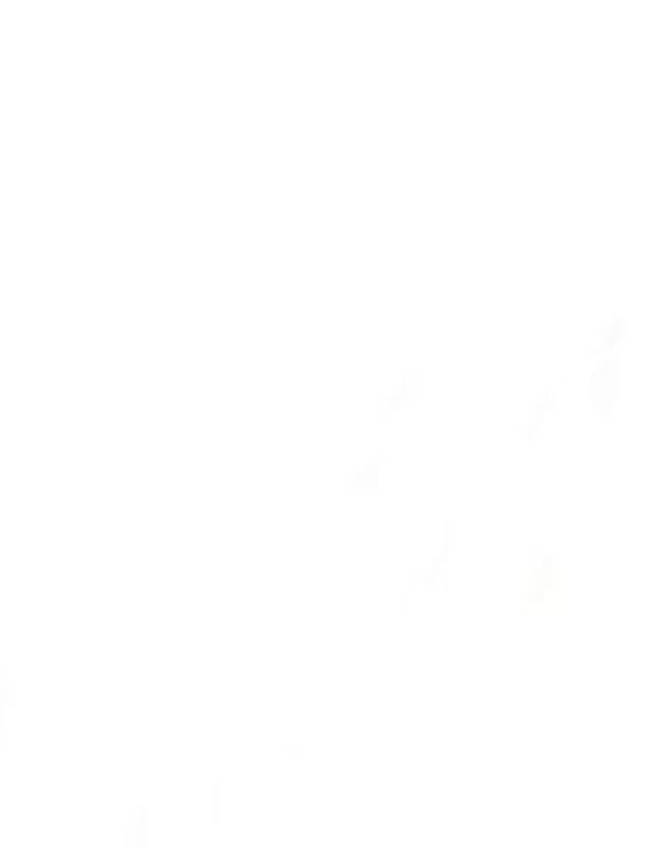 Imagen de producto Jeans straight Yale Plus lavado stone wash para hombre